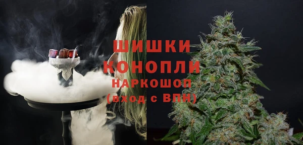 бошки Алексин