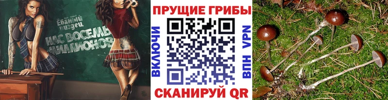 Псилоцибиновые грибы прущие грибы  Лукоянов 